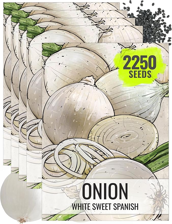 Seed Needs Onion Seeds for Planting White Sweet Spanish Long Day Onions - Non-GMO Heirloom & Untreated Vegetable Seeds to Plant an Outdoor Home Grown Veggie Garden (5 Packs)