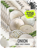 Seed Needs Onion Seeds for Planting White Sweet Spanish Long Day Onions - Non-GMO Heirloom & Untreated Vegetable Seeds to Plant an Outdoor Home Grown Veggie Garden (5 Packs)