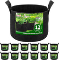 12 Pack 5 Gallon Grow Bags, Heavy Duty 300g Nonwoven Fabric Plant Pots with Reinforced Handles, Breathable Tomato Potato Vegetable Grow Bags for Garden & Patio - Black