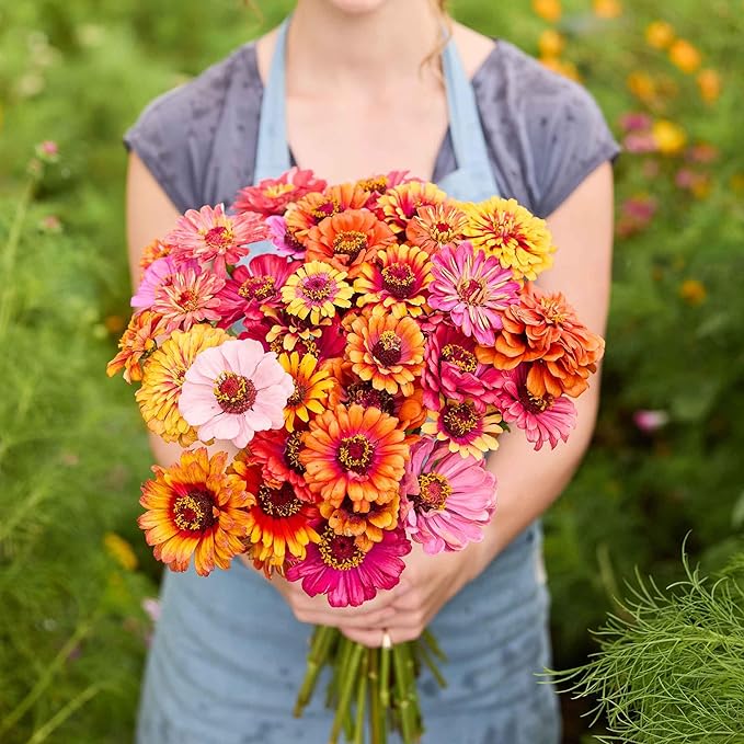 Eden Brothers Zinnia Seeds - Carrousel Mixed, Non-GMO Seeds for Planting, 1 lb | Low-Maintenance Flower Seeds, Plant During Spring, Zones 3, 4, 5, 6, 7, 8, 9, 10