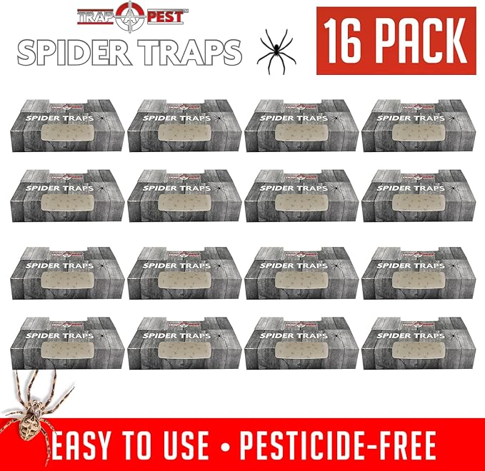 Spider Traps for Inside Your Home (16 Traps) - Spider Catcher Insect Traps Indoor - Spider Traps Indoor Bug Traps Sticky Traps for Spiders - Pre Baited Ultra Sticky Insect Glue Traps - Trap a Pest