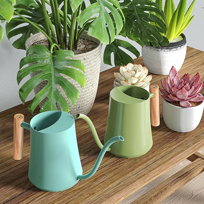 Watering Can Indoor Plants 35oz Sage Green Water Can Indoor Metal Small Water Can Pot with Long Spout for House Bonsai Plants Garden Flower Decorative