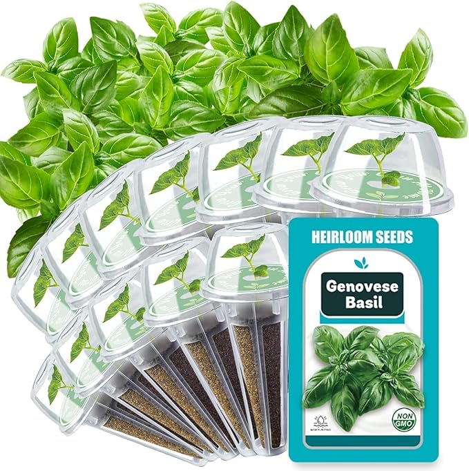 Basil Seed Pods for AeroGarden - 12 Hydroponic Refill Herb Pods with Seeds of Genovese Basil for Most Hydroponic Systems of Ahopegarden, GARDENCUBE, iDOO, and URUQ, Grow Your Own Herb Garden at Home