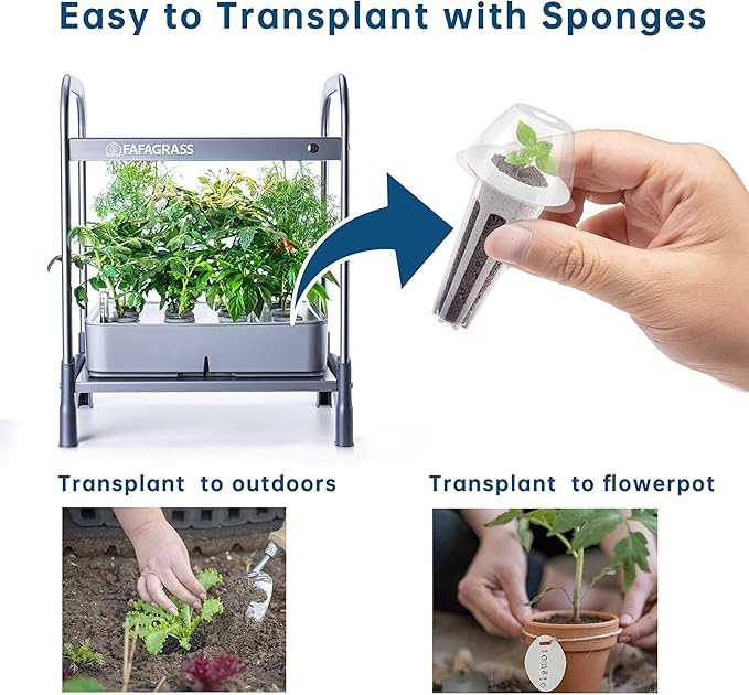12 Set Seed Pod Kit for Indoor Garden, Hydroponics Garden Accessories for Hydroponic Growing System, Grow Anything Kit with 12 Grow Sponges, 12 Grow Baskets, 12 Grow Domes,100ml Plant Food