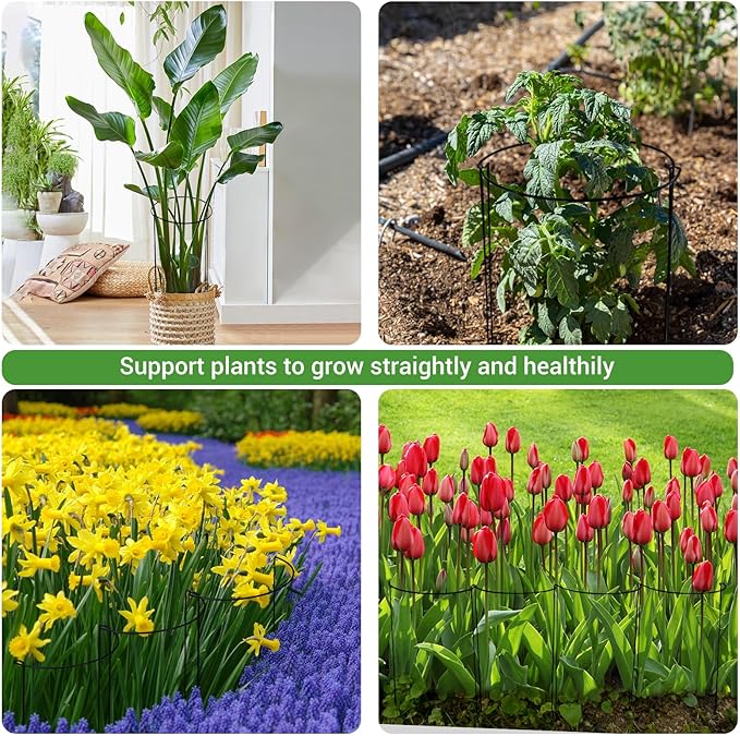 Kikhope Plant Support Stakes, 8 Pack Metal Garden Stakes Plant Cage, Half Round Peony Support Cage, Border Support, Plant Support Rings for Outdoor Indoor Plants, Vegetable, Flowers (9.8" W x 15.7" H)