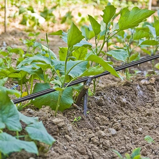 200 ft 5/16 Inch Drip Irrigation Tubing Blank Distribution Tubing Black Garden Watering Tube Line for Irrigation System