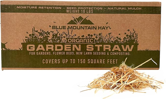 Blue Mountain Hay Organic Garden Straw (10 lb) - Natural Mulch for Gardening, Flower Beds & Landscaping, New Lawn Grass Seeding, Compost, Raised Garden Bed, Cat Grass & Grass Seed