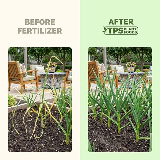 Garlic Fertilizer – Liquid Plant Food for Bigger Bulbs & Strong Root Development, 32 oz