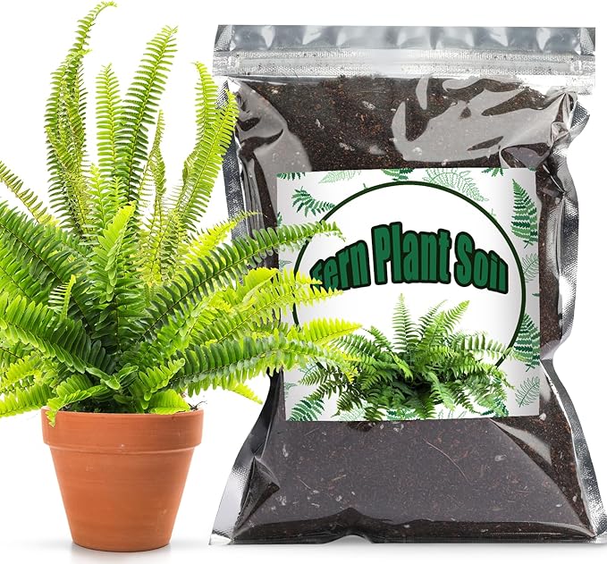 Doter Potting Soil Mix for Fern 4qt, Custom Hand Blended Mixture Suitable for Indoor/Outdoor Potted Fern Plant