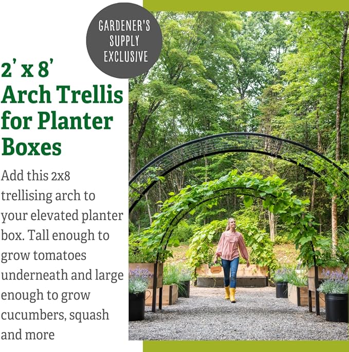 Gardener’s Supply Company Arch Trellis | Garden Arbor fits 2' x 8' Elevated Planter Boxes for Climbing Plants, Vegetables and Flowers | Decorative Outdoor Gardening Landscape