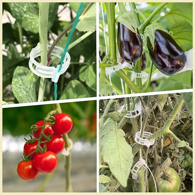 Clearance Deal: 200Pcs Plant Support Clips - Plastic Plant Fixing Clips for Climbing Plants, Tomato Vine Clips, Garden Clips for Securing Stems, Grapes, Vines & Vegetables