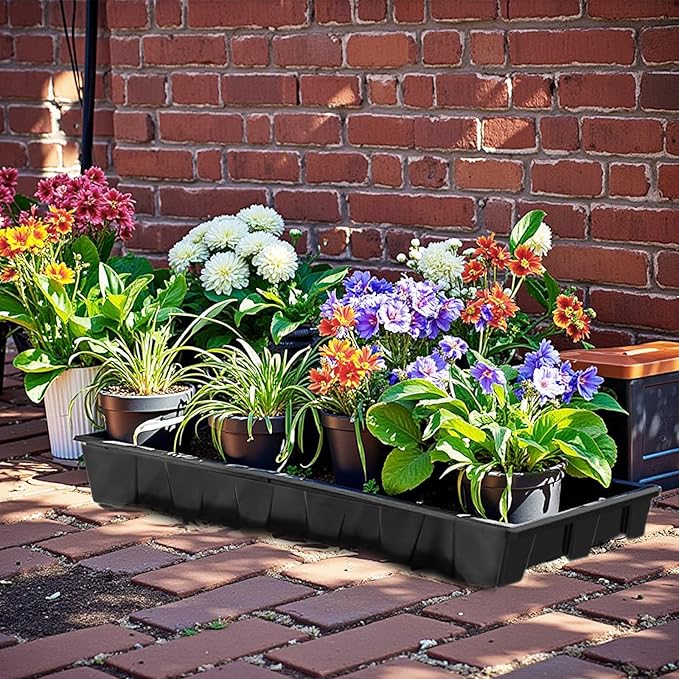 10Pack Seed Starting Trays, Strong Plastic Growing Plant Tray, Seed Tray, Seedling Trays for Greenhouse and Flowers, Wheatgrass, Sprouting