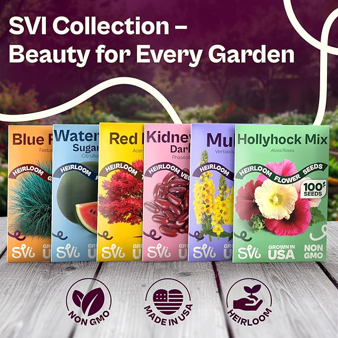 SVI 550 Daikon Radish Seeds (Raphanus sativus) – White Radish Seed Packets, 45-Day Radishes Harvest, Raddish Seed Pack – Heirloom Vegetable Seeds for Vegetable Garden Outdoors, Bed Japanese Garden
