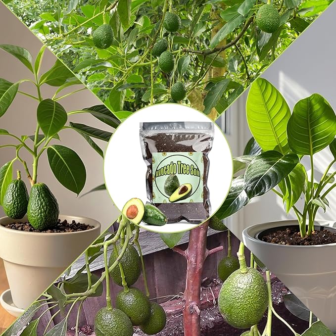Organic Avocado Tree Potting Soil Mix 2qt, Enhance Growth and Transplant Success for Avocado Plants