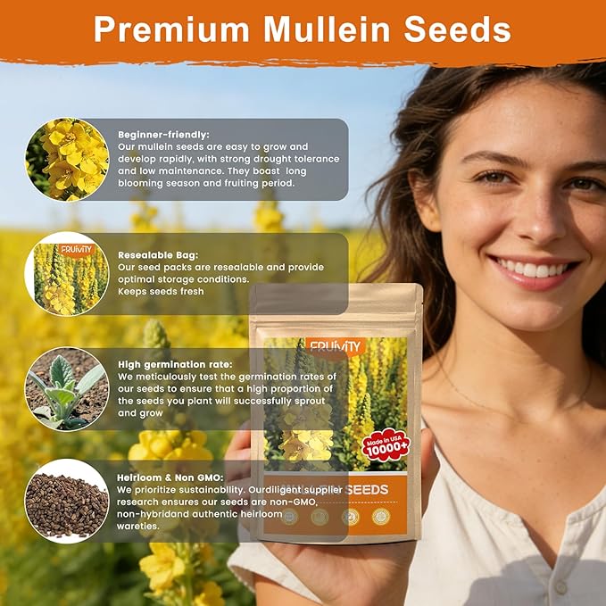 10,000+ Mullein Seeds for Planting(Verbascum Thapsus), Organic Heirloom Flower Seeds for Pollinator Gardens, Medicinal Herbs, Landscaping, Easy to Grow, Indoor Outdoor Growing