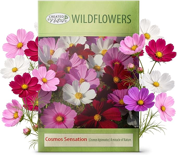Created By Nature, Cosmos Seeds, Sensation Mix, Pink, Purple, and White Wildflower Seed Mix, 4,500 Annual Flower Seeds, Covers Up to 275 sq. ft. (Cosmos bipinnatus)