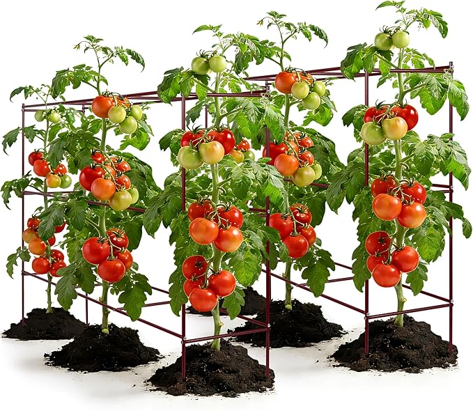 Tomato Cages – 47" H x 58" L x 14" W Row Tomato Trellis, 3-Tier Heavy-Duty Steel Support System for Indeterminate Tomatoes, Supports Up to 6 Plants Per Set