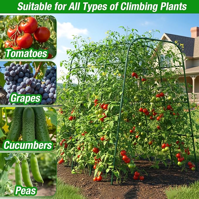Cucumber Trellis for Raised Bed 48" L x 64" H, U-Shape 16mm Heavy-Duty Metal Garden Trellis for Climbing Plants Outdoor, Vegetable Arch Support Frame for Tomato Pea Zucchini Grape Flowers Vines