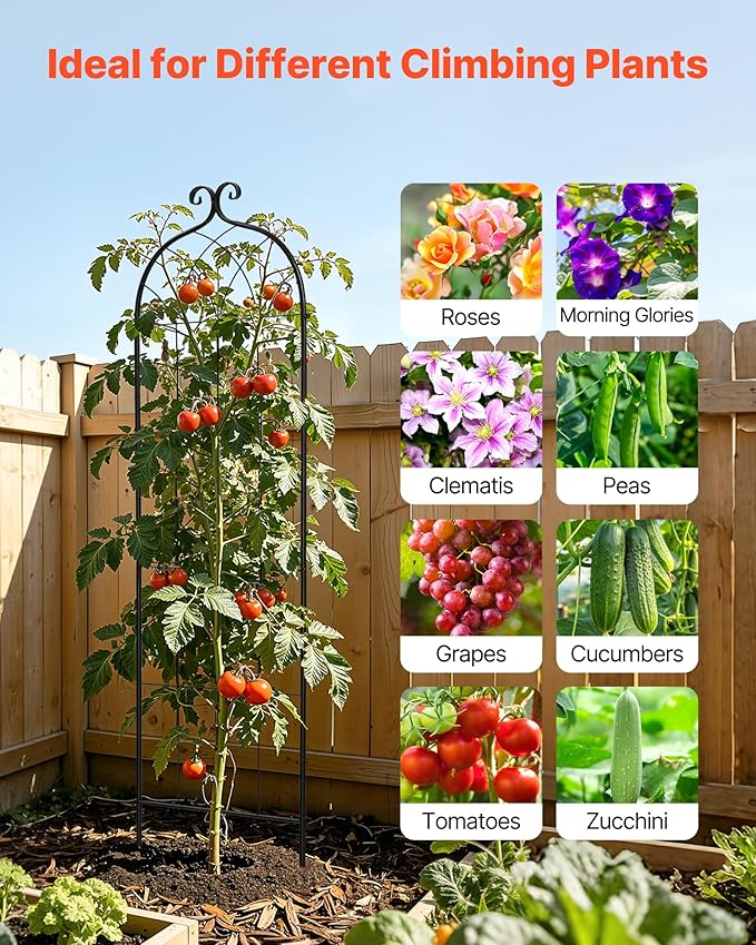 VEVOR Garden Trellis, 71 x 20 inch Rose Trellis, 2 Packs Garden Flower Rose Trellises with Powder-Coated Finish & Convenient Locking Design, Plant Support Trellises for Flowers, Vegetables, Roses