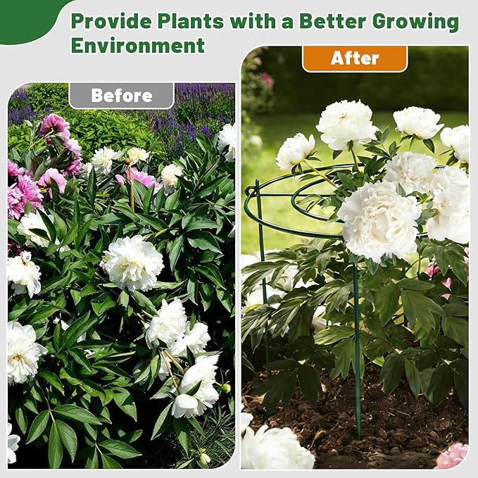 8 Pack Peony Cages Set 11.5" Dx16 H Peony Cages and Supports Heavy Duty Metal Plants Support Cage for Outdoor Green Support Rings for Flower Strawberry Tomato Hydrangeas