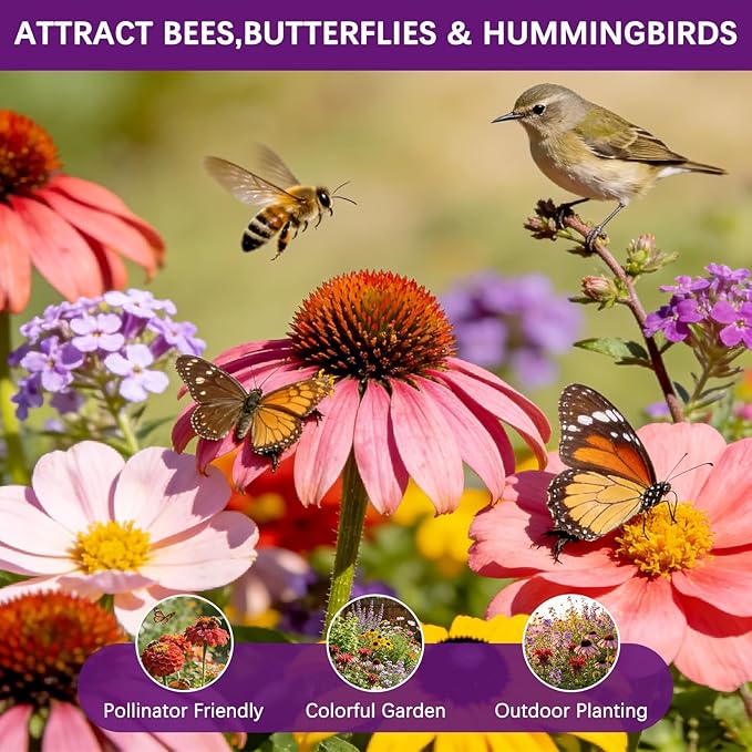 Wildflower Seeds Mix 1/2 lb 36 Varieties Perennial& Annual Flower Seeds Set for Planting，Non-GMO Heirloom Seed, Bulk Wild Flower Seeds for Indoor & Outdoors, Individual Seed Packets for Home Garden
