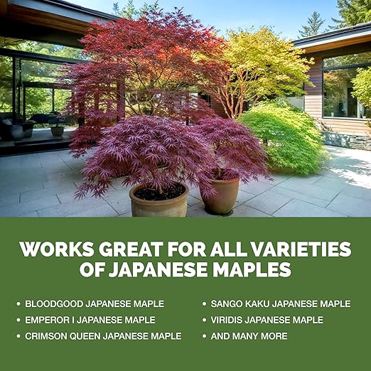 Japanese Maple Fertilizer, Complete Liquid Plant Food for All Japanese Maple Tree Varietals, 1 Gallon (128 oz)