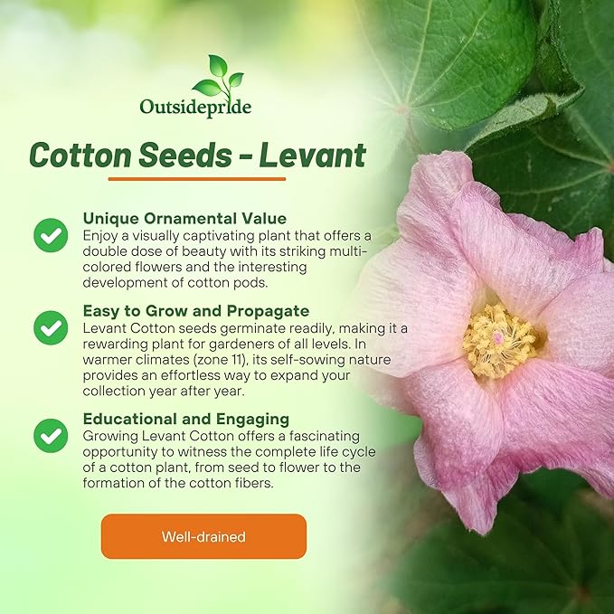 Outsidepride Levant Cotton Seeds - 100 Pcs. Perennial, Easy to Grow & Pollinator Friendly, Flower Seeds for Planting Showy, Vibrant Mixed Blooms with Cotton Pods for Shrub Gardens & Versatile Uses