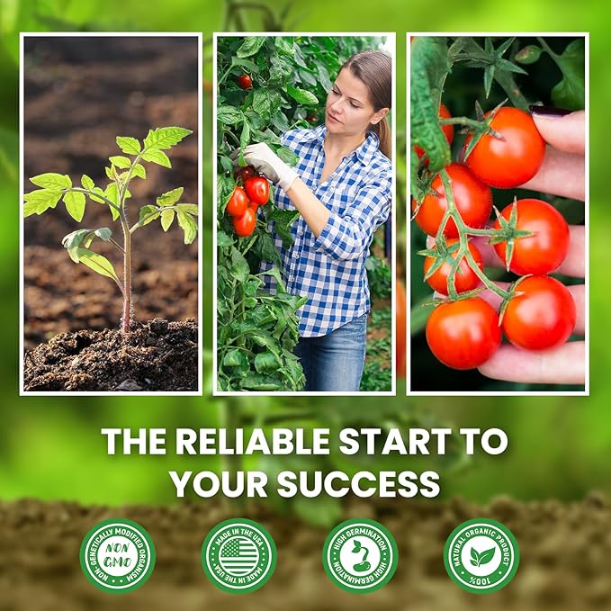 10 Pack Heirloom Tomato Seeds Variety Pack -5000+ Non-GMO Garden Seeds for Planting Outdoors & Indoor Home Gardening Gift, Cherry, Yellow Pear Tomatoes & More