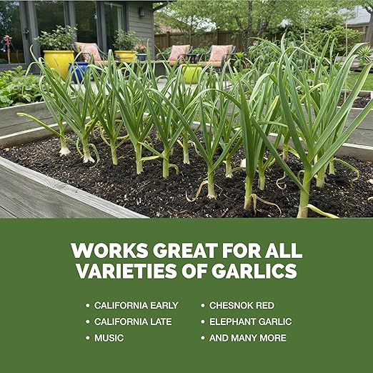 Garlic Fertilizer – Liquid Plant Food for Bigger Bulbs & Strong Root Development, 32 oz