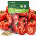 Beefsteak Tomato Seeds for Planting - Non-GMO, Heirloom - 400 Indeterminate Tomato Seeds, Vegetable Seed Packet with Instructions for Planting Home Garden Indoor & Outdoor