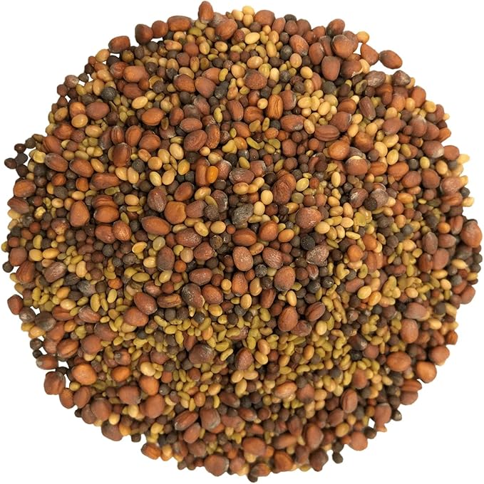 Food to Live Organic Salad Mix of Sprouting Seeds, 1 Pound – Non-GMO Broccoli, Radish, Clover, Alfalfa. Rich Germination Rate, Non-Irradiated, Kosher, Vegan Superfood, Bulk, Rich in Sulforaphane