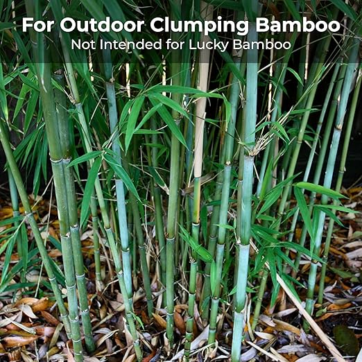 Real Growers Bamboo Special 13-5-11 – 12-Month Slow-Release Fertilizer for Outdoor Clumping Bamboo – 18 lb