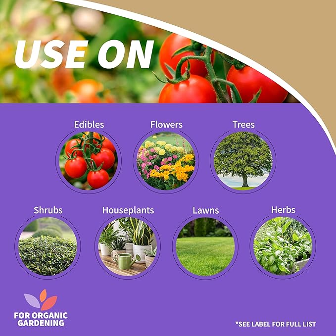 Bonide Captain Jack's Neem Oil, 16 oz. Concentrate, Multi-Purpose Fungicide, Insecticide and Miticide for Organic Gardening