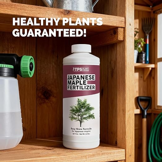 Japanese Maple Fertilizer, Complete Liquid Plant Food for All Japanese Maple Tree Varietals, 1 Gallon (128 oz)