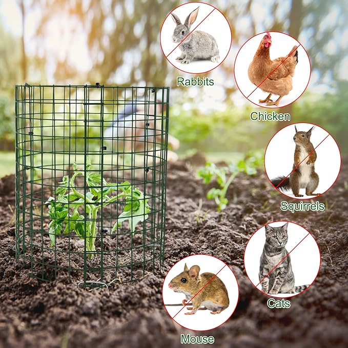 Unves 10 Set Plant Protectors from Animals, 30 Pcs 12" x 12" Wire Plant Cages for Outdoor Plants-Covers Protect Vegetables Flowers from Animals, Prevent Rabbit & Chicken Entering