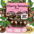 SVI 50 Black Cherry Tomato Seeds (Solanum lycoperscium) – Black Cherry Tomatoes Seed Packets, Sweet Heirloom Tomato On Vine – Non GMO Vegetable Seeds for Outdoor & Indoor Garden, Containers