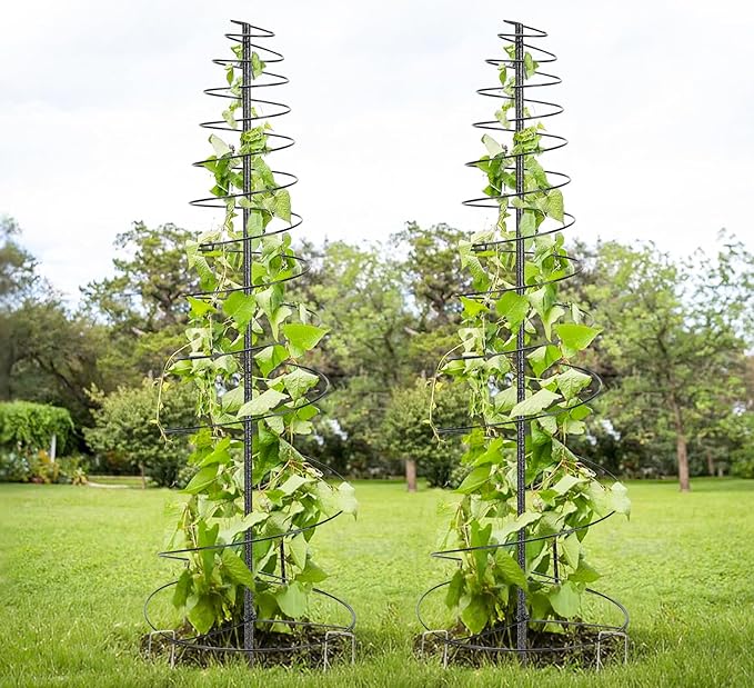 Trellis for Climbing Plants Outdoor or Indoor,2 Pack 73inch Tall Garden Trellis for Climbing Plants,Metal Plants Trellis Support for Vine Vegetables,Flowers