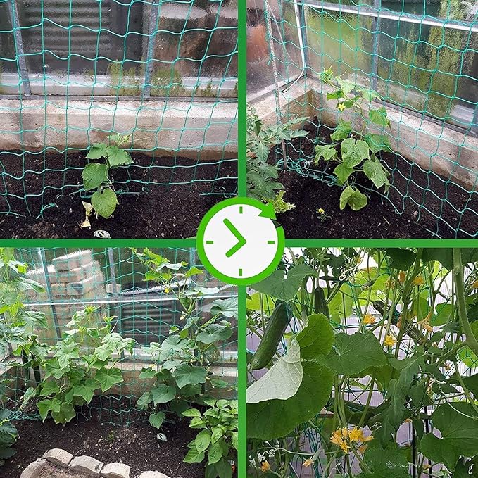 Trellis Netting for Climbing Plants - Heavy Duty Garden Trellis Netting for Cucumber, Vine, Fruits & Vegetables Tomato Plants Trellis Net, Climbing Vining Plants (2-Pack 16.4' x 6.6'Ft)