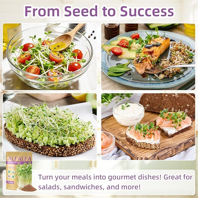 Organic Alfalfa Sprout Seeds (16 oz), Certified Non-GMO, Heirloom Seeds, Premium Alfalfa Sprouting Seeds for Sprouting and Microgreens, High Yield High Germination, Resealable Bag