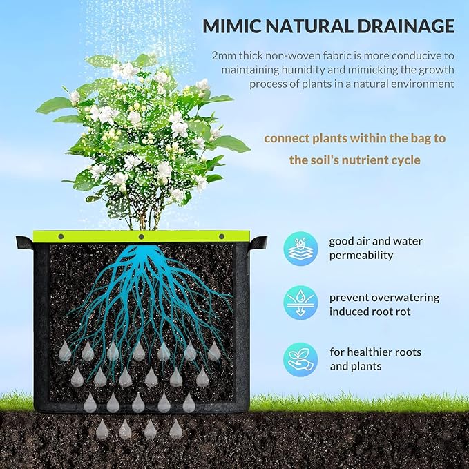 Grow Bags 6 Pack 2MM 400G More Heavy Duty Thickened Nonwoven Garden Plant Fabric Pots (Black, 10 Gallon)
