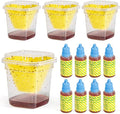 4 Fruit Fly Trap for Indoors with 8 Refill Liquid, 90 Days of Lure Supply Fruit Fly Killer for Kitchen & Home, Non-Toxic Reusable Fruit Fly Catcher