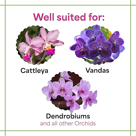 Grow More All Purpose Orchid Fertilizer 20-20-20 for Soil Maintenence Year Round - 20oz of Water Soluble Orchid Food Fertilizer for All Orchids - Plant Food for Healthy Growth & Vibrant Blooms
