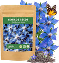 LUOJIBIE Borage Seeds, 2,000+ Blue Borage Seeds for Planting Outdoor & Indoor, Flower Seeds Bulk for Garden, Non-GMO & Heirloom, Easy to Grow
