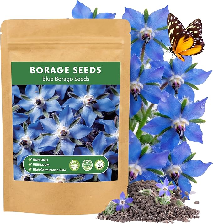 LUOJIBIE Borage Seeds, 2,000+ Blue Borage Seeds for Planting Outdoor & Indoor, Flower Seeds Bulk for Garden, Non-GMO & Heirloom, Easy to Grow