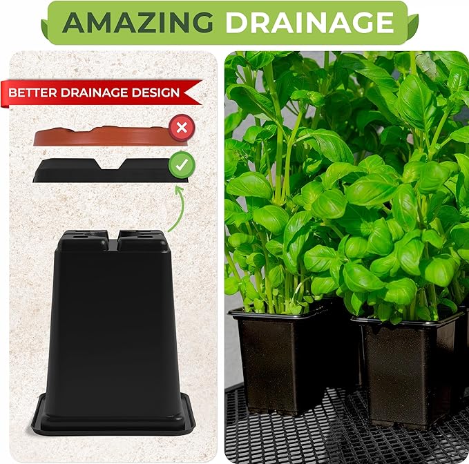 CARPATHEN 64Pack Square Nursery Pots - 2.4 Inch Plastic Seedling Pots with Drainage Holes - Reusable Seed Starter Pots for Plants, Succulent, Flowers, Vegetables - Plant Starter Pots and Sticker Label