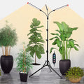 3-Head Grow Light with Stand and Timer, 27 Watt Power Home Plug LED Grow Lights for Indoor Plants for Tall Houseplants, Bonsai Tree, Seed Starting, 24"-64" Adjustable Height