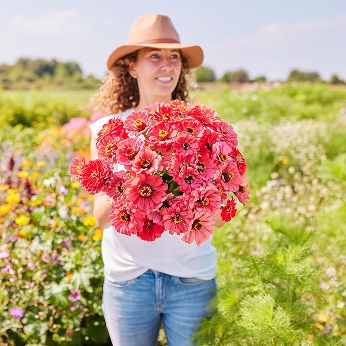 Eden Brothers Zinnia Seeds - Salmon Queen, Non-GMO Seeds for Planting, Packet | Low-Maintenance Flower Seeds, Plant During Spring, Zones 3, 4, 5, 6, 7, 8, 9, 10