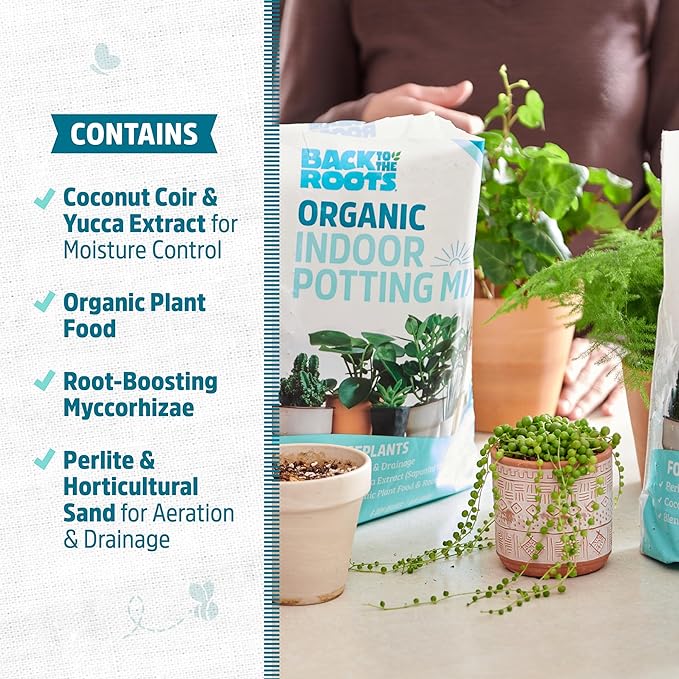 Back to The Roots 100% Organic Indoor Potting Mix (6 Quart),Promotes Healthy Houseplant Growth,Made in The USA,(Pack of 8)