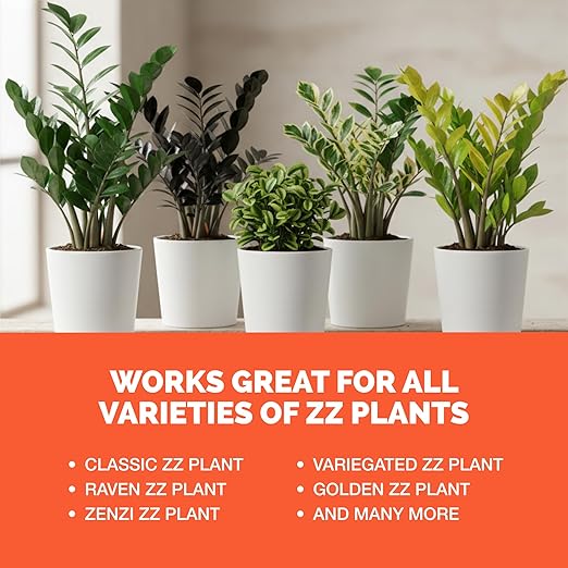 ZZ Plant Fertilizer – Liquid Plant Food for Glossy Green Leaves, Stronger Roots & Healthy New Growth, 8 oz