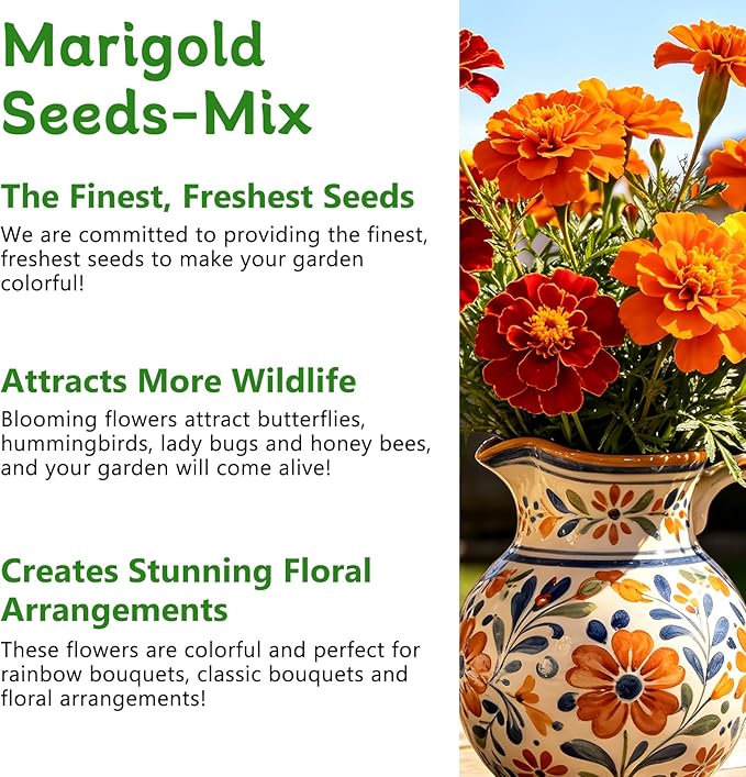LUOJIBIE Marigold Seeds, 6,000+ Marigold Seeds for Planting Outdoor & Indoor, Flower Seeds Bulk for Gardening and Home, Non-GMO Heirloom, Easy to Grow
